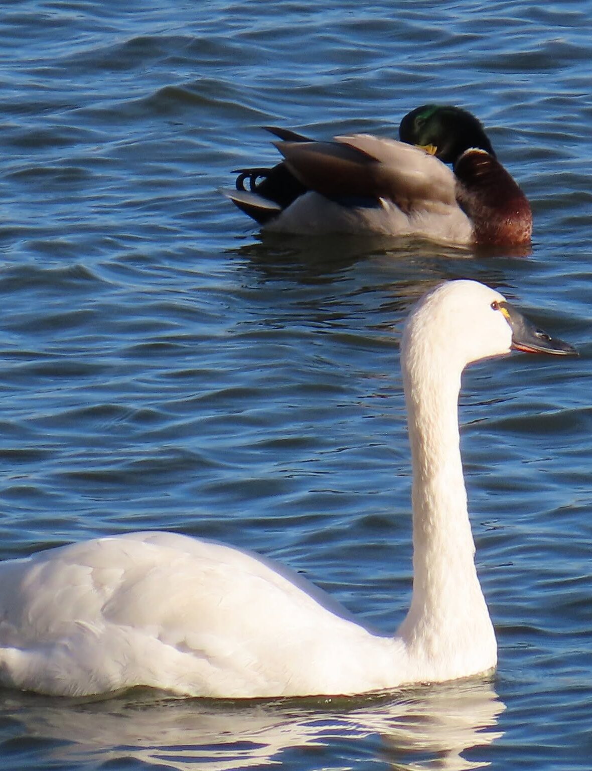 cropped-486666982_1464462391434069_5179678734585108237_n.jpg